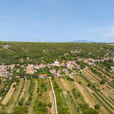 Galerija_187